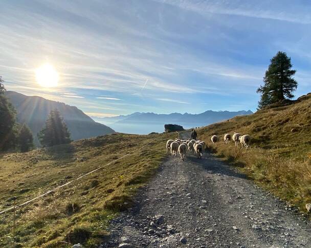 Valais, Crans-Montana, Mollens | Caritas-Montagnards